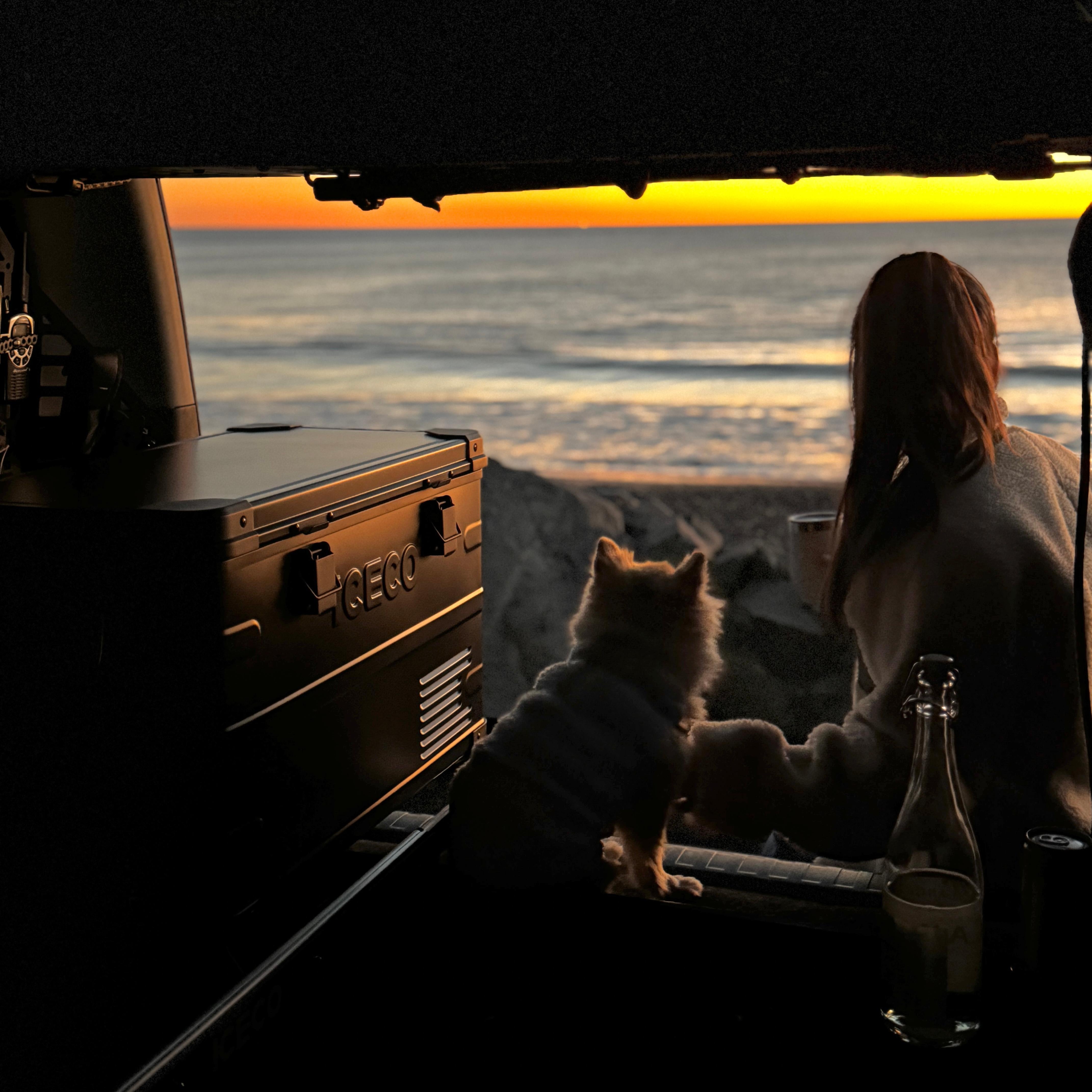 6周年記念 APL35 Black ポータブル冷蔵庫 35L | ICECO